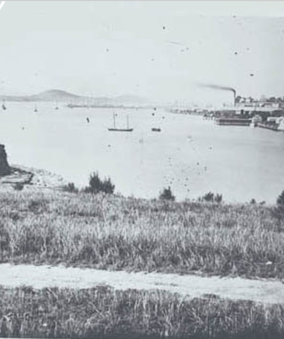 Maori used Freemans bay to gather food and fish