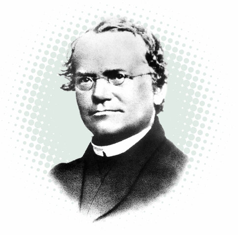 G. Mendel