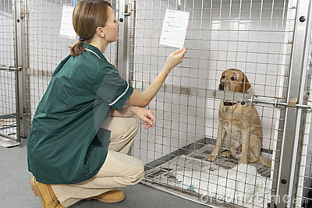 Control sobre ingreso de enfermedades contagiosas de animales