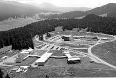 Comisión im­pulsora y Coordinadora de la investigación Científica (CICIC)