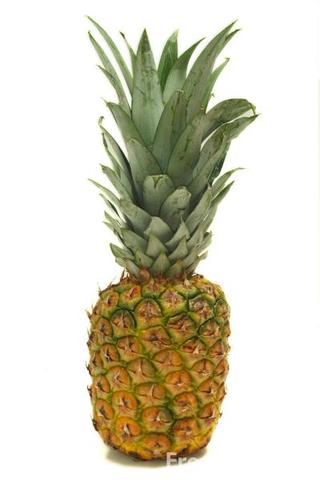 Pineapple Industry