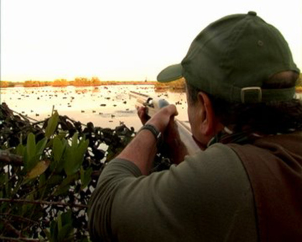 Reglamento de la Ley de Caza