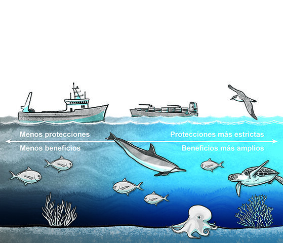 Convención sobre Pesca y Conservación