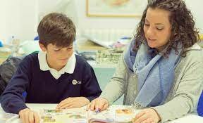 Aportaciones de Brewer