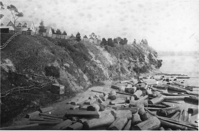 Freemans Bay started getting reclaimed