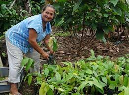 Provincia de los Rios