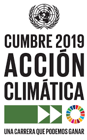 Cumbre de Acción Climática de la ONU 2019