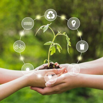 Timeline: Gestion ambiental en México