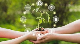 Timeline: Gestion ambiental en México