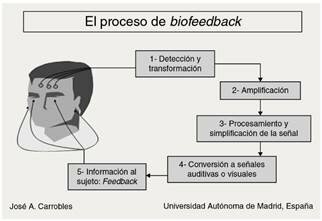 Biofeedback