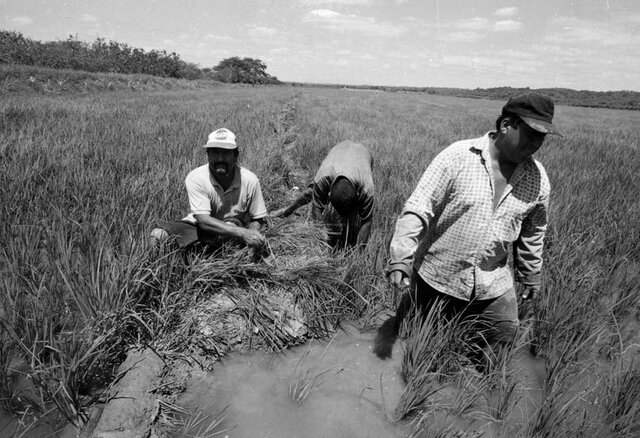 Nace la Economía social en Perú
