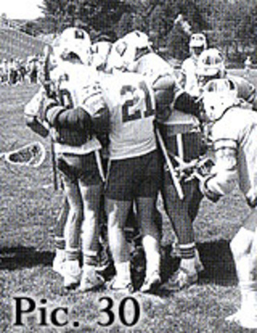 Armadillos Are Illegal