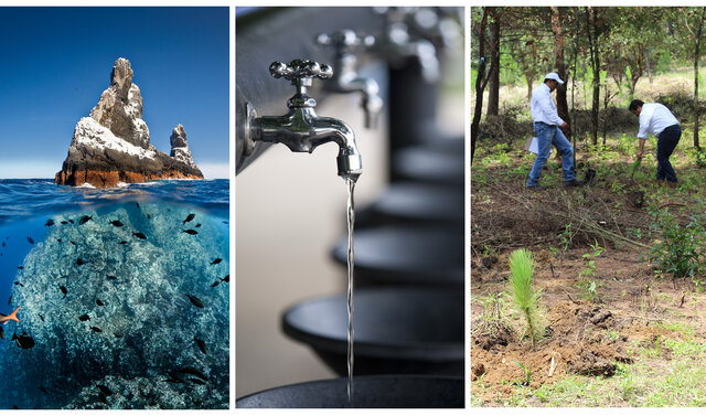 3ra etapa de la gestión ambiental - avances hacia su integridad ambiental.