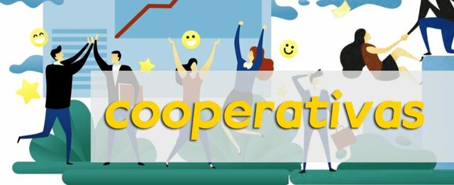 Decreto 704  de 2019 y ley 1955