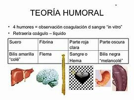LA TEORÍA HUMORAL