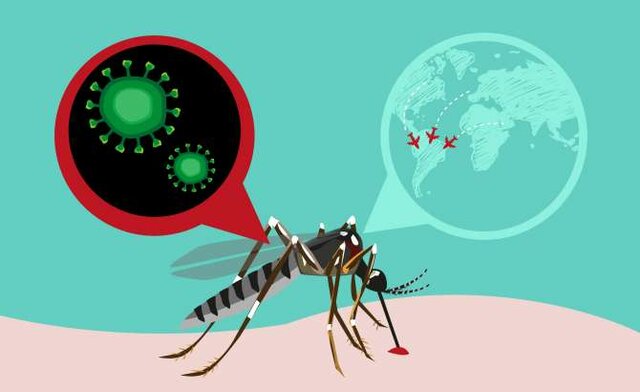 Descubrimiento de los arbovirus