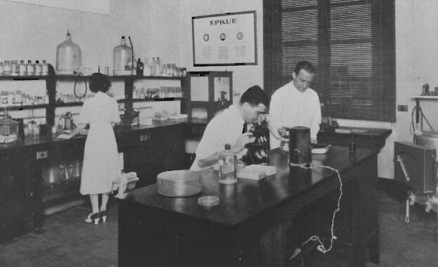 Skinhoj, Harrington y Shannon