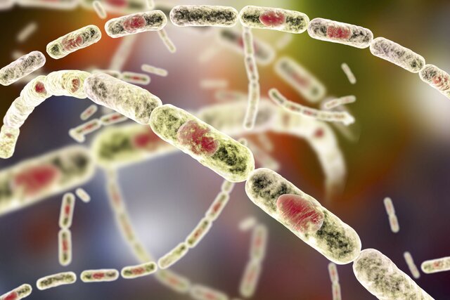 Bioterrorismo con Antrax