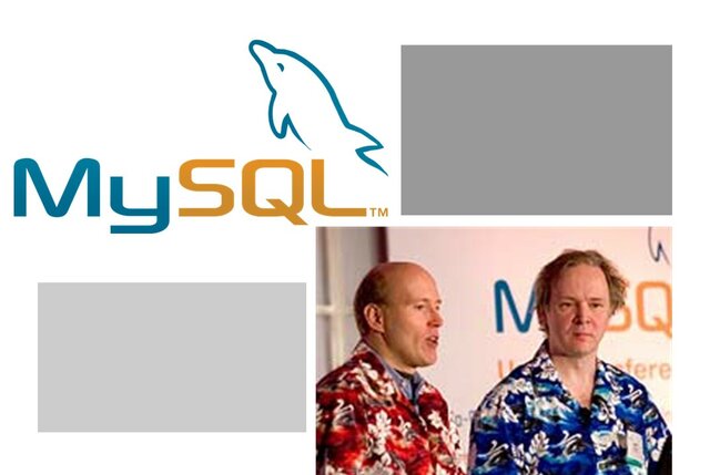 MySQL - Michael Widenius y David Axmark