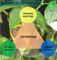 ¿LA TRÍADA DE ENFERMEDAD EN LA FITOPATOLOGÍA?