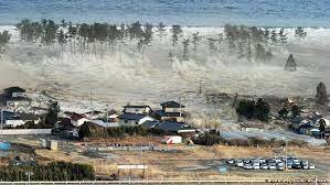 Tsunami / terremoto de Japón