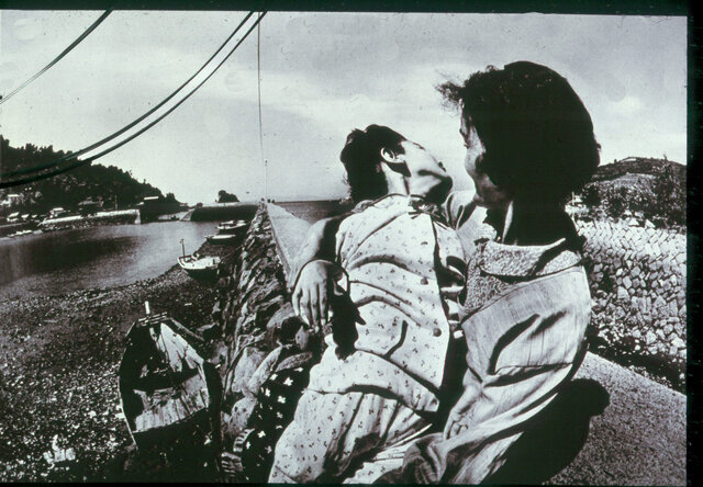 Enfermedad de Minamata