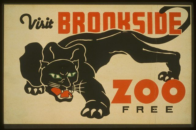 Carken - Brookside Zoo