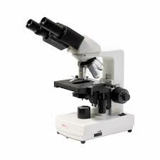 Microscopio compuesto