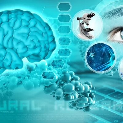 Timeline: LÍNEA DE TIEMPO EVOLUCIÓN DE LA NEUROCIENCIA DE LA CONDUCTA