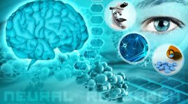 Timeline: LÍNEA DE TIEMPO EVOLUCIÓN DE LA NEUROCIENCIA DE LA CONDUCTA