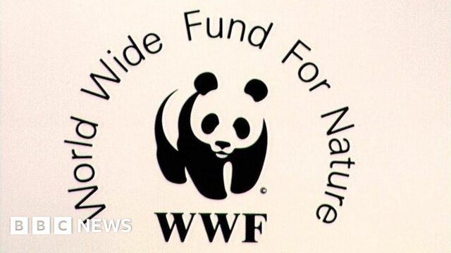 Fundación de Amnistia International y World Wildlife Fund (WWF)