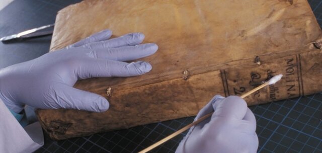 Conservación preventiva