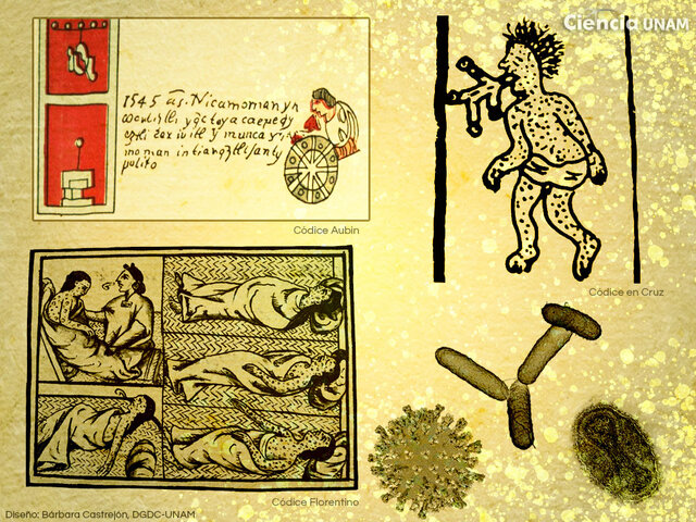 Segunda epidemia en Méxicos sarampión (záhuatl tepiton)