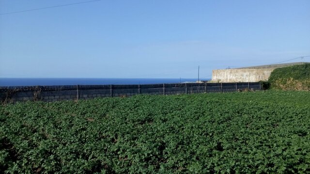 Agricultura en La Laguna