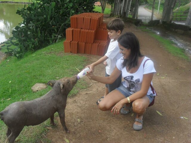 minha primeira viagem a um sitio