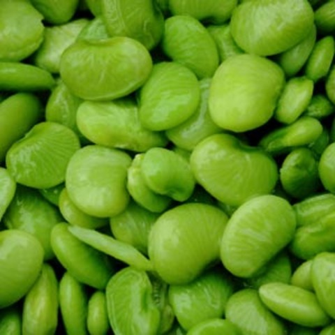 Dr. Seuss learned to like lima beans.