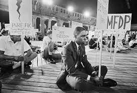 Freedom Summer