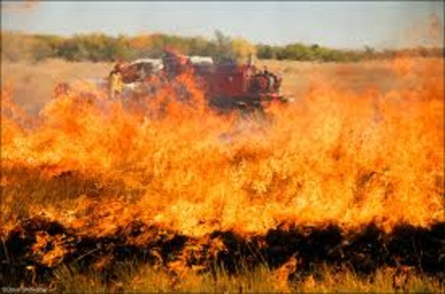 Praire Fire in Centrel Nebraska And Killed Milions Of Dolierl In Cattle And Hay