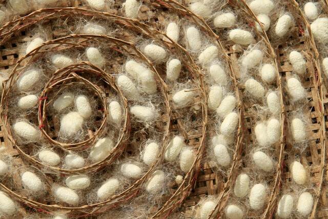 Silk making in China