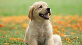 Timeline: Ιστορία