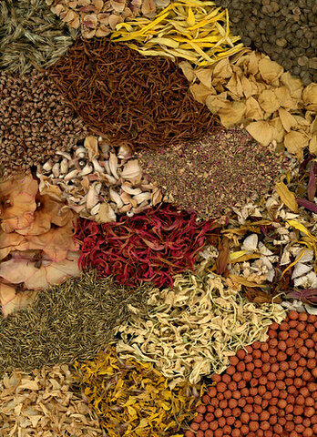 Ranunculus, euphorbia, belladonna