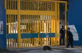 Facultad de Química