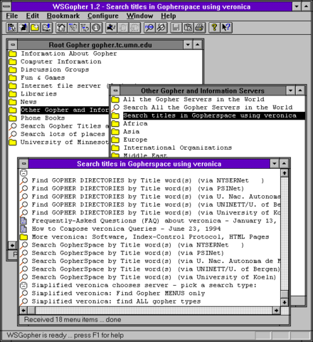 Verónica el primer buscador