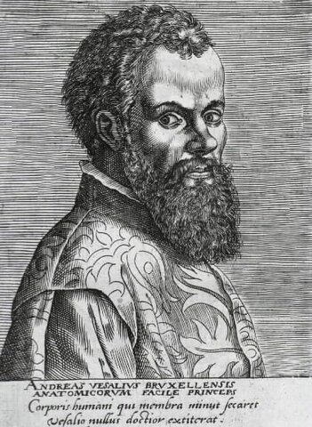 Andrés Vesalio