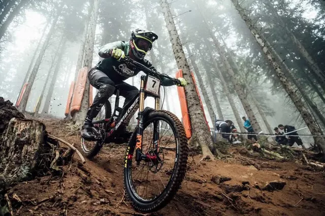 World Cup DH