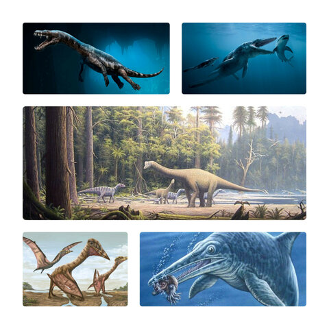 Era: Mezozoico desde hace 245 Ma hasta hace 65 Ma