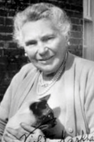 Violet Markham Carruthers- GENDER