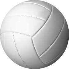 Started playing volleyball