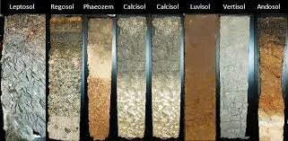 Suelo en la actualidad