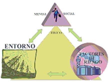 FUSIÓN DE LAS TEORÍAS DE LA OMS Y TRIADA ECOLÓGICA